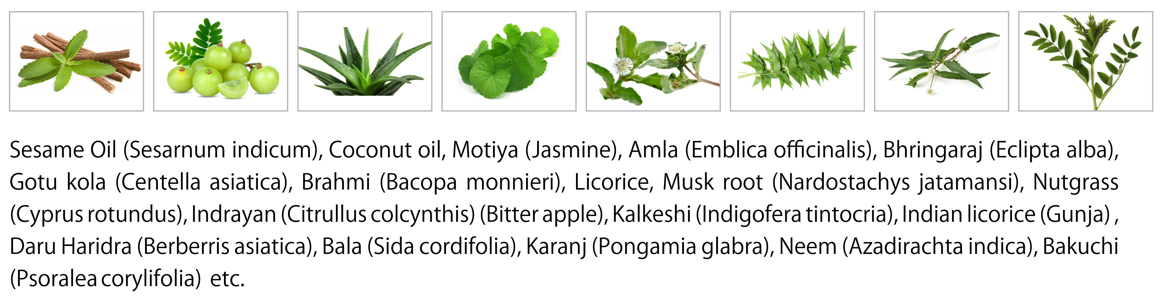 herbs stripe